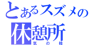 とあるスズメの休憩所（気の枝）