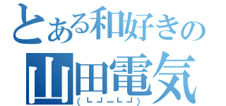 とある和好きの山田電気（（┗┛－┗┛））