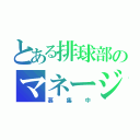 とある排球部のマネージャー（募集中）