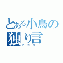 とある小鳥の独り言（ピヨヨ~）