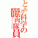 とある科学の筋肉隊員（メイトリクス）