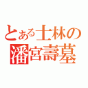 とある士林の潘宮壽墓（）