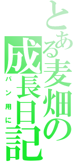 とある麦畑の成長日記（パン用に）