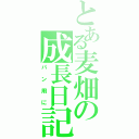 とある麦畑の成長日記（パン用に）