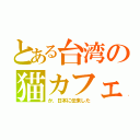 とある台湾の猫カフェ（か、日本に伝来した）