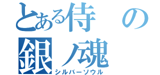 とある侍の銀ノ魂（シルバーソウル）