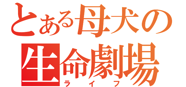 とある母犬の生命劇場（ライフ）