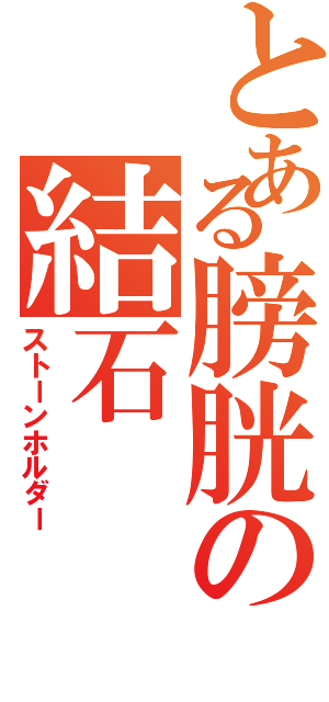 とある膀胱の結石（ストーンホルダー）