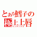 とある鱈子の極上上唇（インデックス）