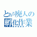 とある廃人の孵化作業（個体値厳選）