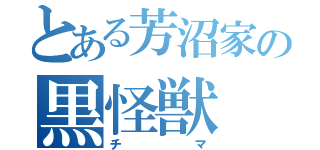 とある芳沼家の黒怪獣（チマ）