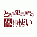 とある犯罪組織の体術使い（中原中也）