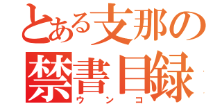 とある支那の禁書目録（ウンコ）