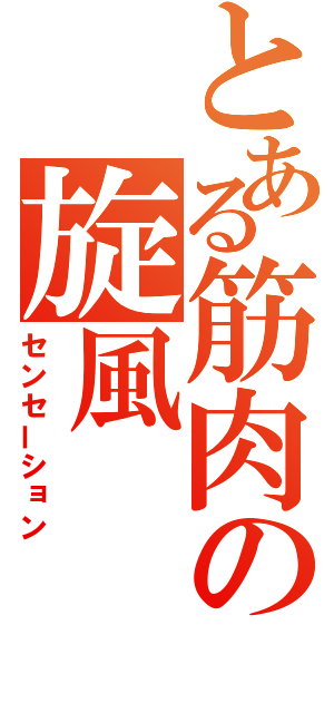 とある筋肉の旋風（センセーション）