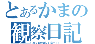 とあるかまの観察日記（見てるの楽しいよー！！）