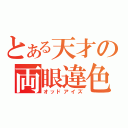 とある天才の両眼違色（オッドアイズ）