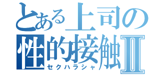 とある上司の性的接触Ⅱ（セクハラシャ）