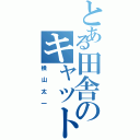 とある田舎のキャットマスター（横山太一）