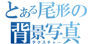 とある尾形の背景写真（テクスチャー）