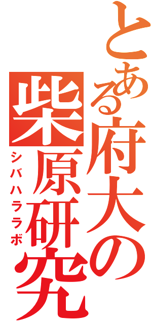 とある府大の柴原研究室（シバハララボ）