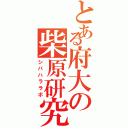 とある府大の柴原研究室（シバハララボ）