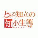 とある知立の知小生等（ちしょっこ）