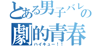 とある男子バレー部の劇的青春（ハイキュー！！）