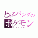 とあるパンダのポケモン（ヤンチャム）