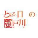 とある日の瀬戸川（ばか）