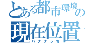 とある都市環境の現在位置（バナナっち）