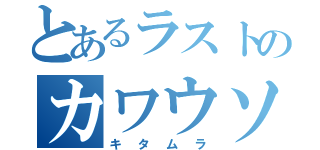 とあるラストのカワウソ（キタムラ）