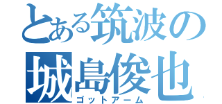 とある筑波の城島俊也（ゴットアーム）