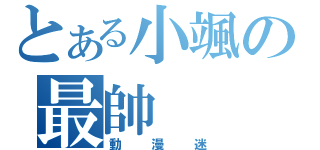 とある小颯の最帥（動漫迷）