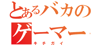 とあるバカのゲーマー野郎（キチガイ）