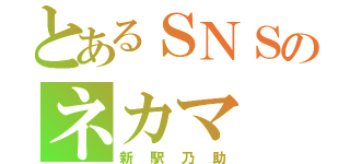 とあるＳＮＳのネカマ（新駅乃助）