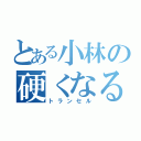 とある小林の硬くなる（トランセル）