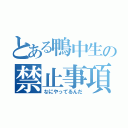 とある鴨中生の禁止事項（なにやってるんだ）