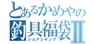 とあるかめやの釣具福袋Ⅱ（ショアジギング）