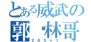 とある威武の郭潇林哥（２６５＋１）