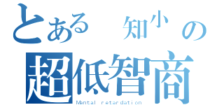 とある無知小輩の超低智商（Ｍｅｎｔａｌ ｒｅｔａｒｄａｔｉｏｎ）