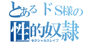 とあるドＳ様の性的奴隷（セクシャルスレイブ）