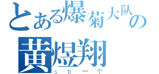 とある爆菊大队长の黄煜翔（ｓｂ一个）