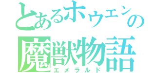 とあるホウエンの魔獣物語（エメラルド）