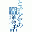 とある少年の普通会話（スカイプチャット）