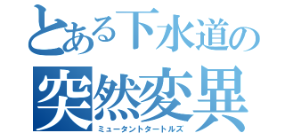 とある下水道の突然変異（ミュータントタートルズ）