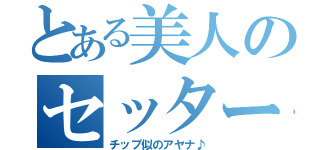 とある美人のセッター職人（チップ似のアヤナ♪）