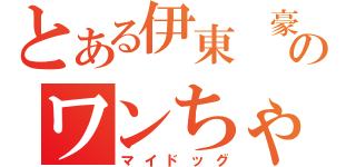 とある伊東　豪のワンちゃん二匹（マイドッグ）