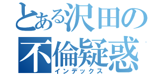 とある沢田の不倫疑惑（インデックス）