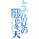 とある估見の銀色冬天（インデックス）