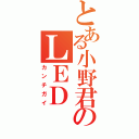 とある小野君のＬＥＤ（カンチガイ）